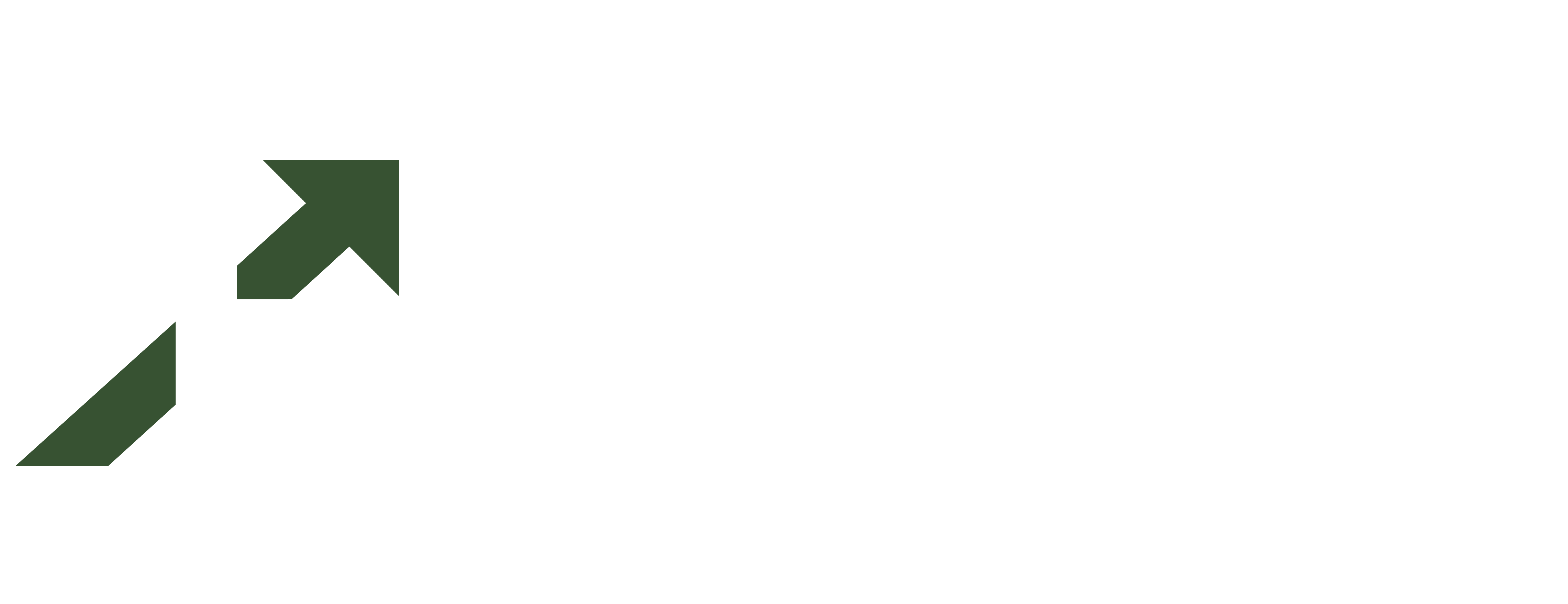 Padizone